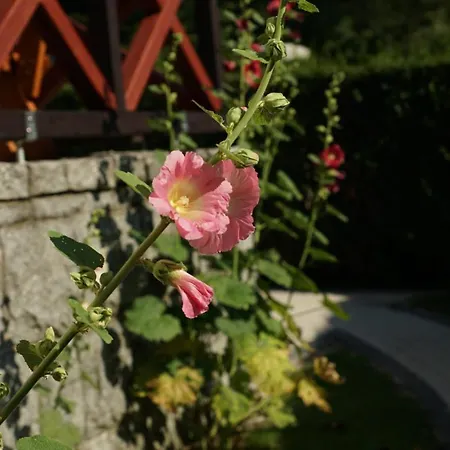 Wrzosowa 25 Apartment Szklarska Poreba